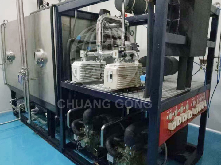 LDG freeze dryer