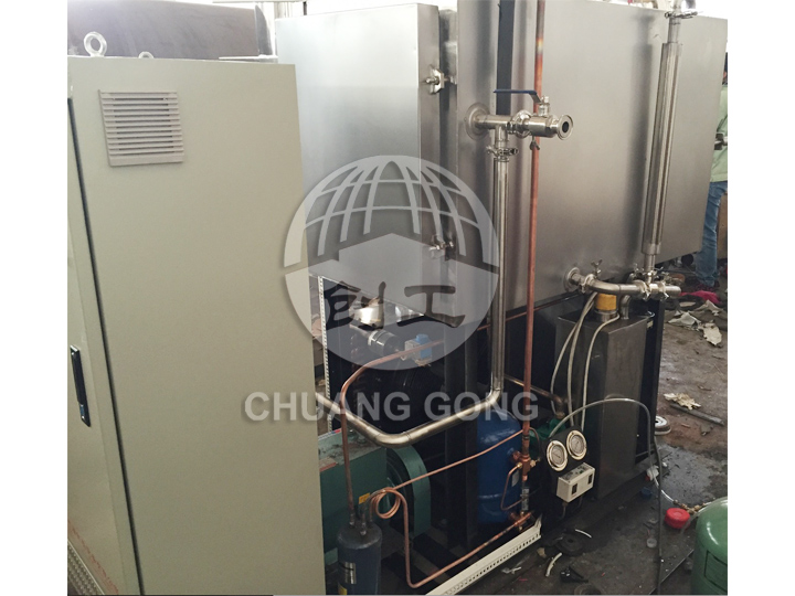 LDG freeze dryer